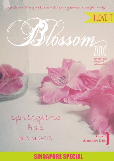 Spring 8 2015 cover bR