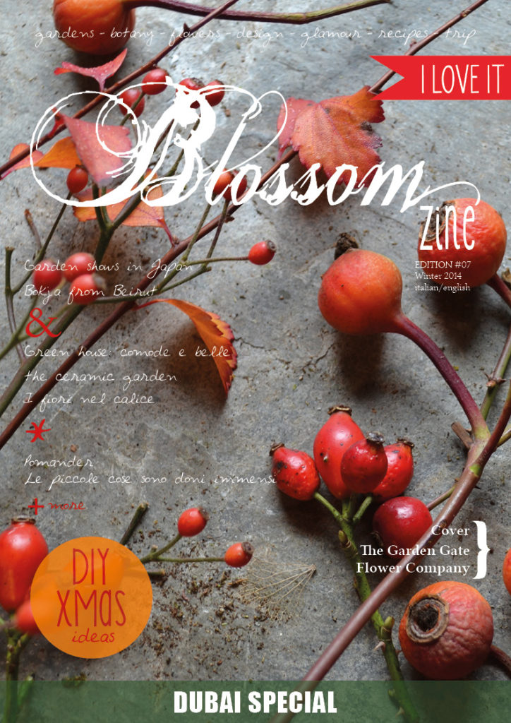 Winter issue Blossom zine  COVER HR