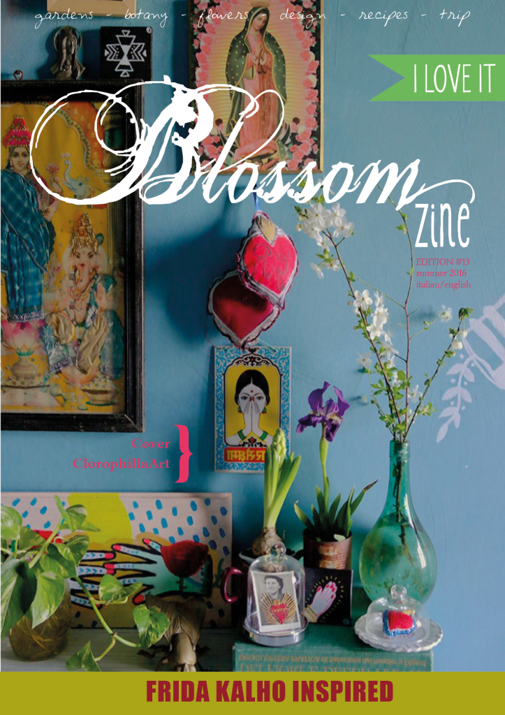 Blossom zine N 13 COVER