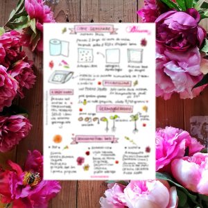 Come seminare metodo facile + lista fiori belli