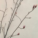 magnolia-da-mangiare-blossomzine-1