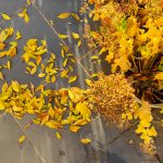 Blossomzine-foglie-coperta-inverno-terrazzo-1