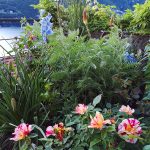 Blossomzine-terrazzo-che-sembra-giardino