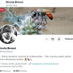 nicola-bressi-zoologo-twitter