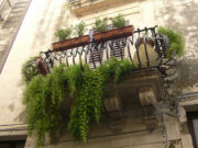 Balconi fioriti a Ortigia _Siracusa