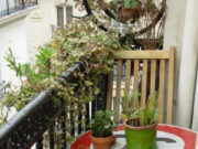 i Giardini dei mestieri_ Garden designer e decoratrice