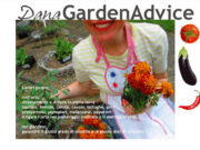 Dana Garden Advice_ Lavori giugno