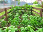 i giardini dei mestieri_il carrozziere