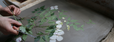 Fossili di vita quotidiana, le realizza l’artista inglese Rachel Dein