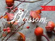 è uscito il nuovo numero Winter di Blossom zine !