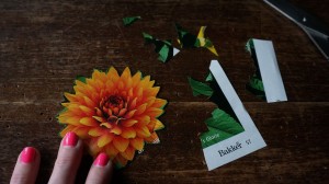 dana garden design BAKKER 6