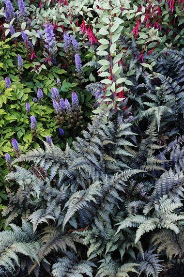 78913d7f3653ee1db87da7b58087d716