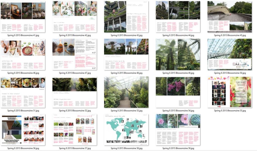 blossom zine Spring su issuu3