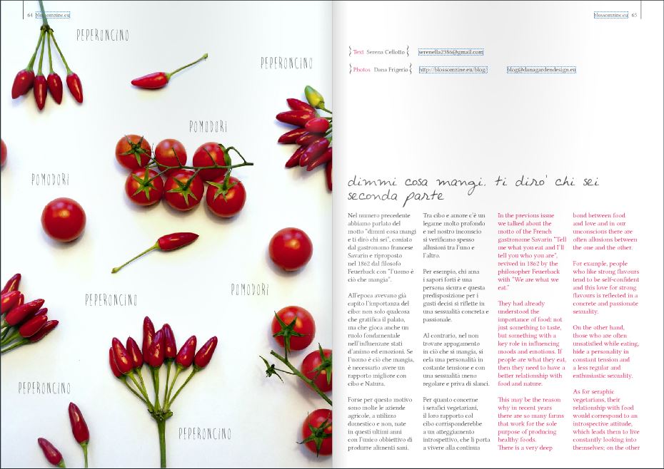 blossom zine digital magazine Spring