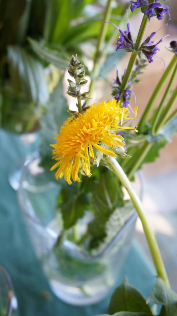 Blossom zine BLOG erbe spontanee2