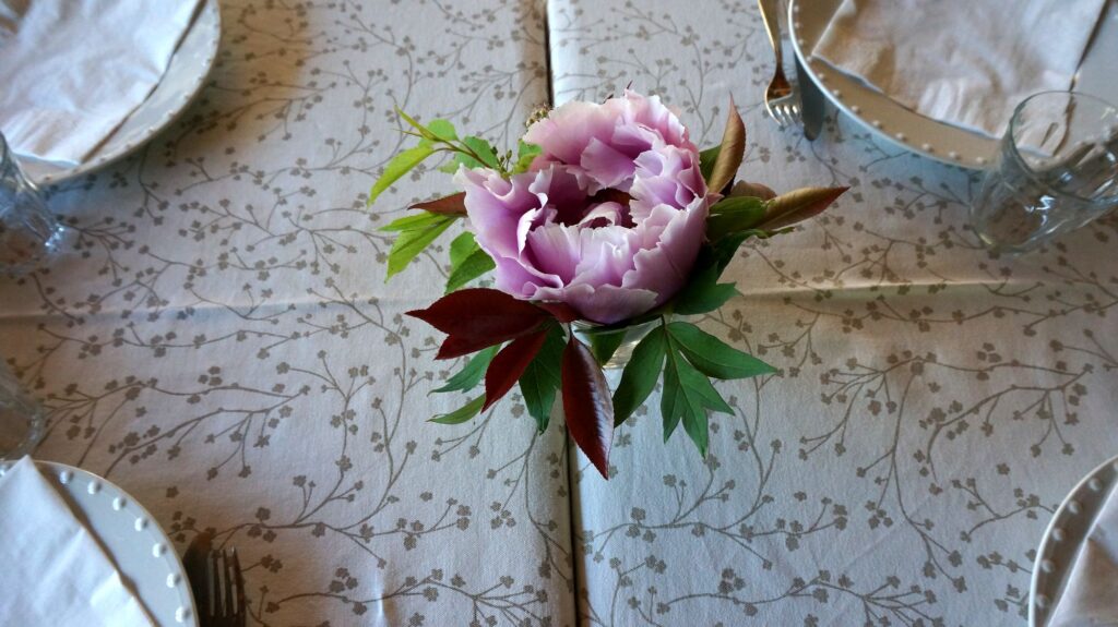 Blossom zine BLOG erbe spontanee7