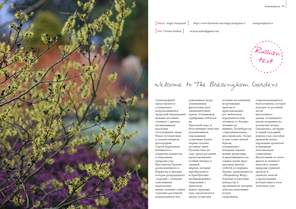 Spring 8 2015 Blossomzine 30