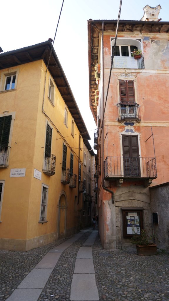 blossom zine BLOG menta e rosmarino12