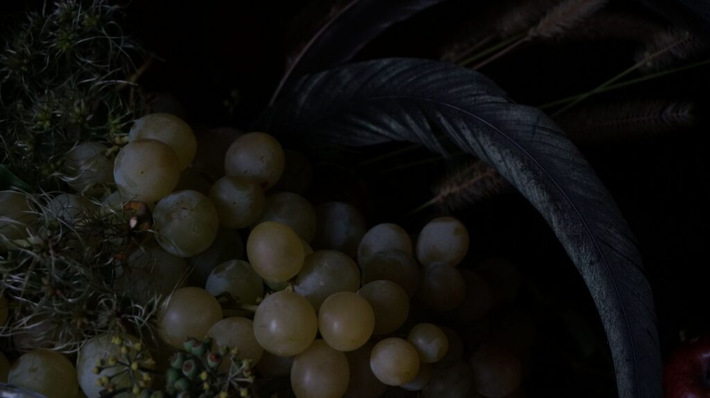 blossom zine blog nature morte 13