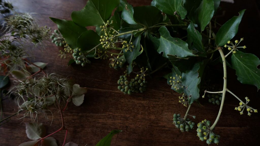 blossom zine blog nature morte 2