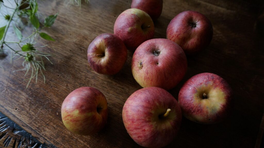 blossom zine blog nature morte 4