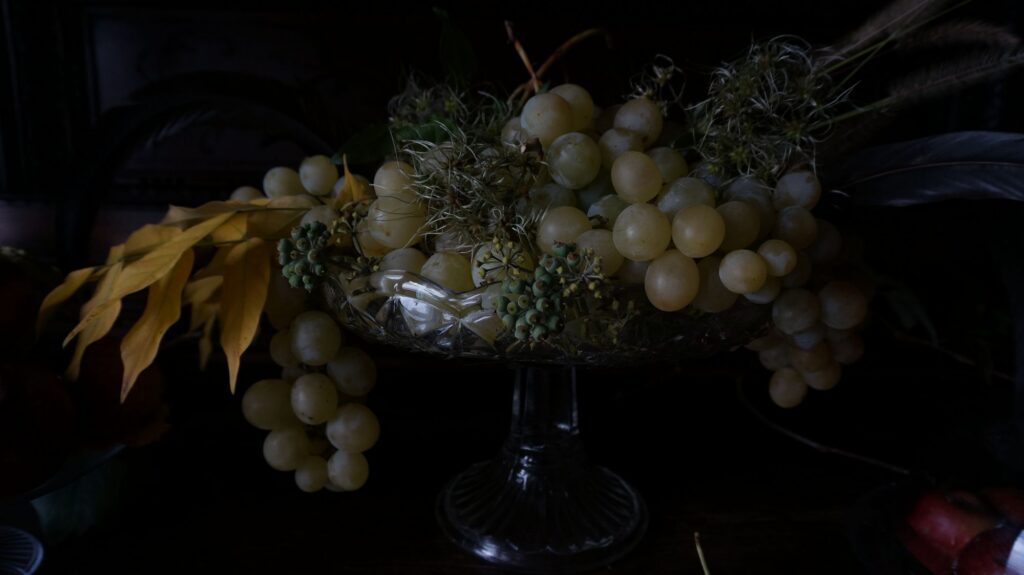 blossom zine blog nature morte 6