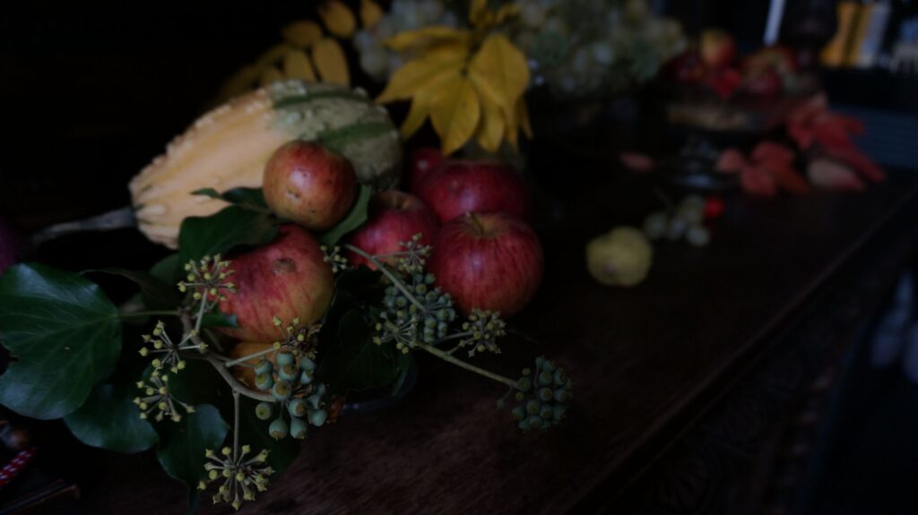 blossom zine blog nature morte 9