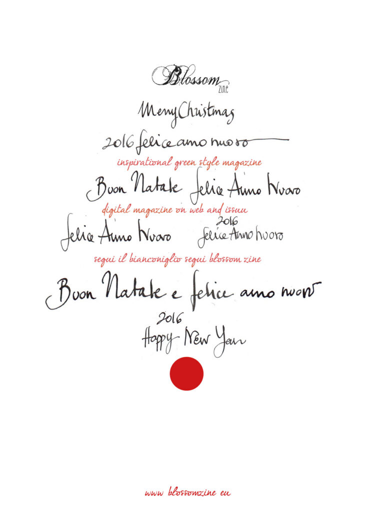Blossom zine natale 2015