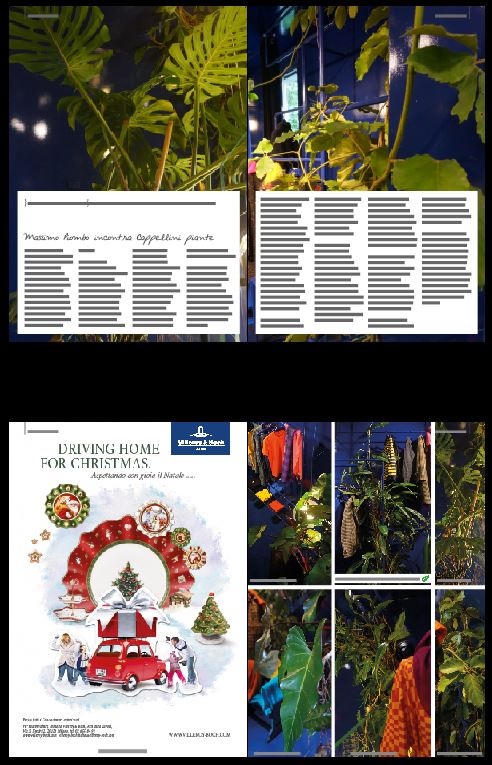 blossom zine sequenza articoli winter 2