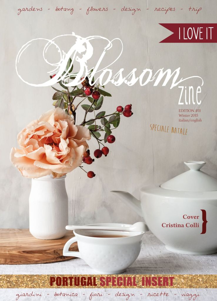 winter 11 2015 cover BR