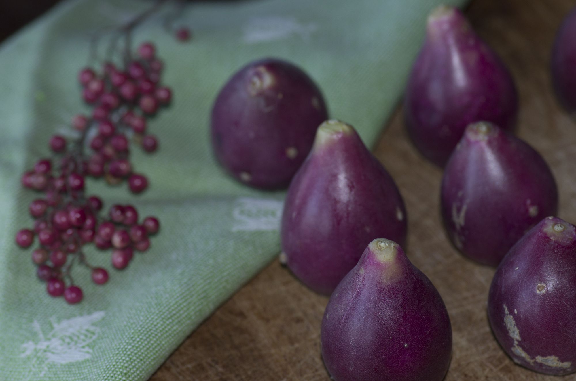 blossom zine fichi d india margarita15