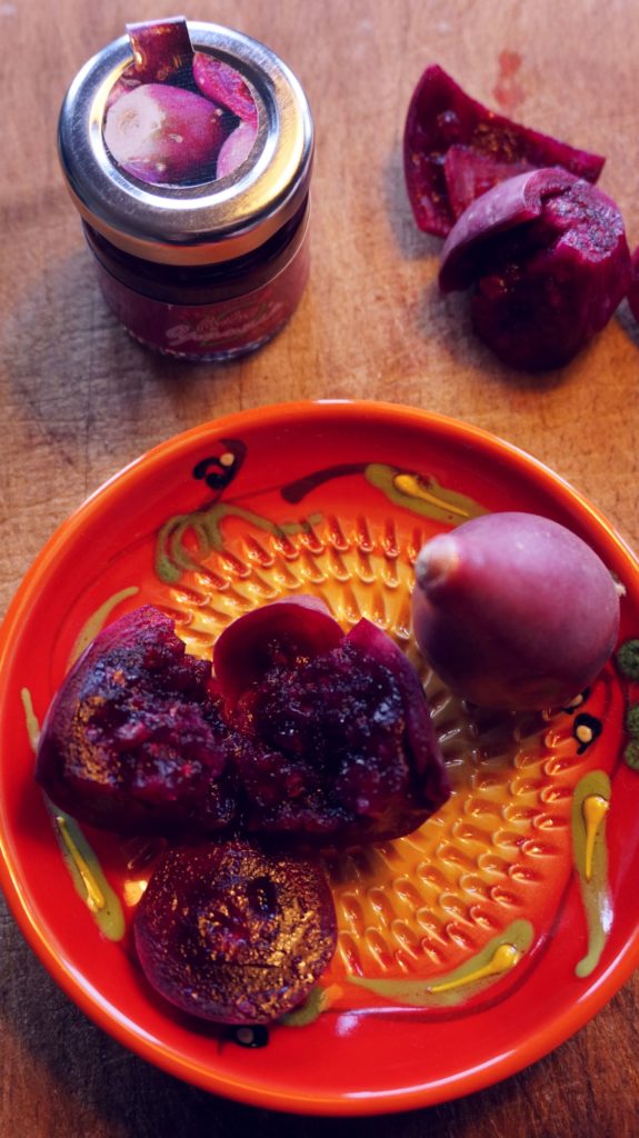 blossom zine fichi d india margarita16