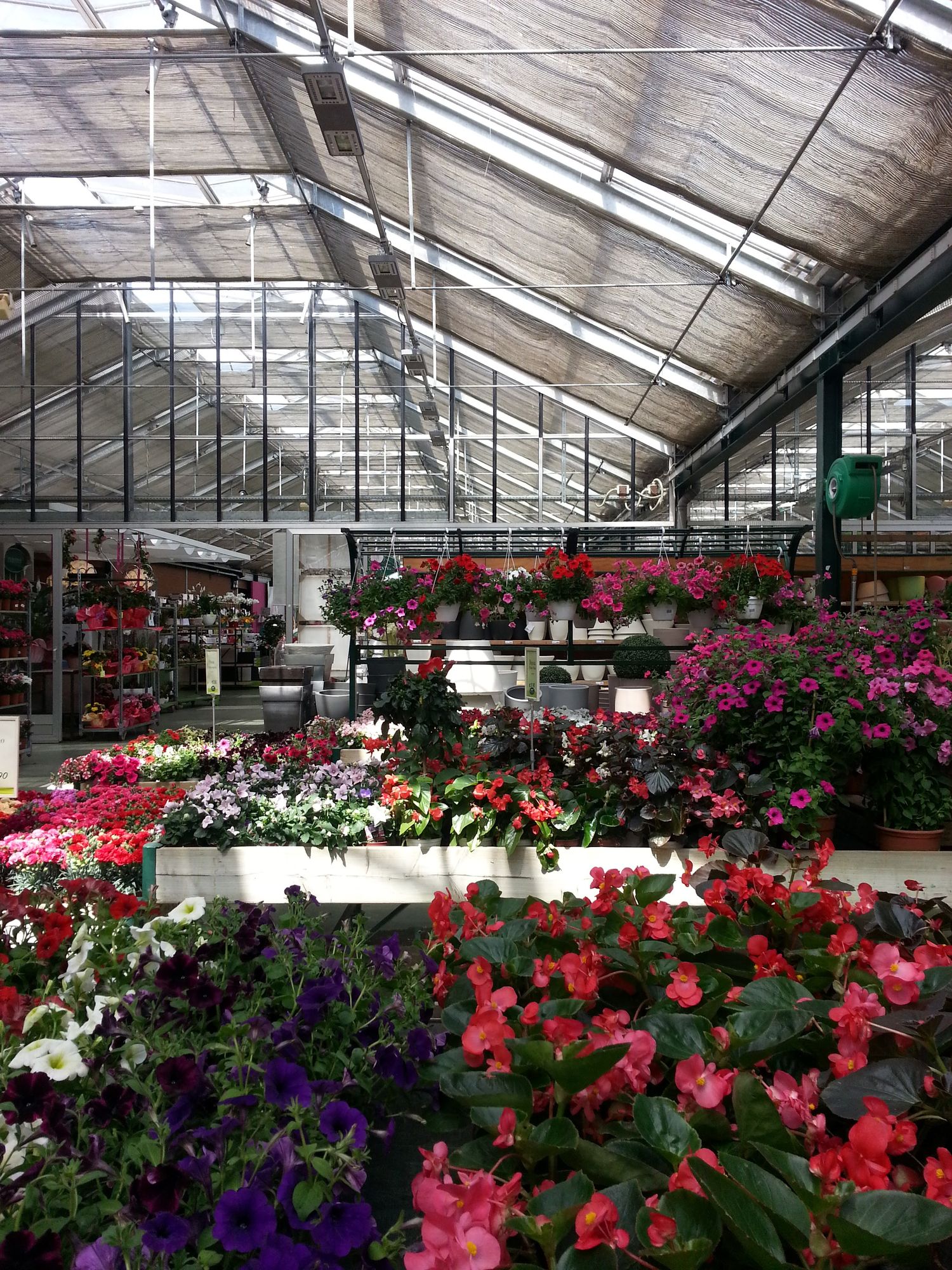 viridea about garden workshop (6)