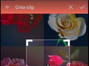 Come si sfoglia dal cellulare una rivista digitale Blossom zine