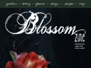 Blossom zine WINTER è online !
