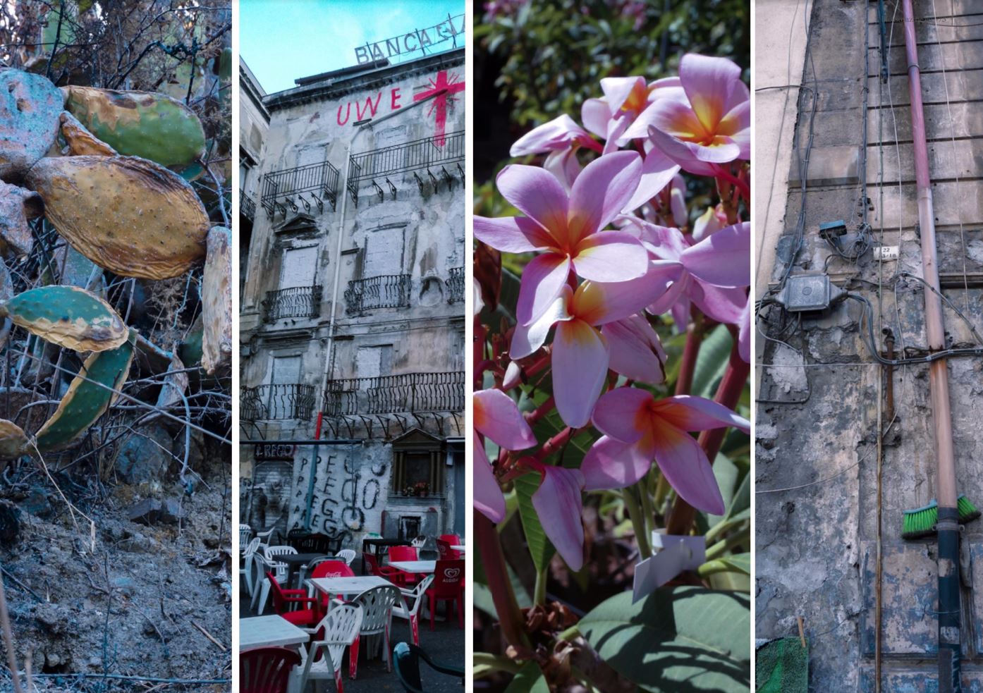 Blossom zine e la sicilia 6