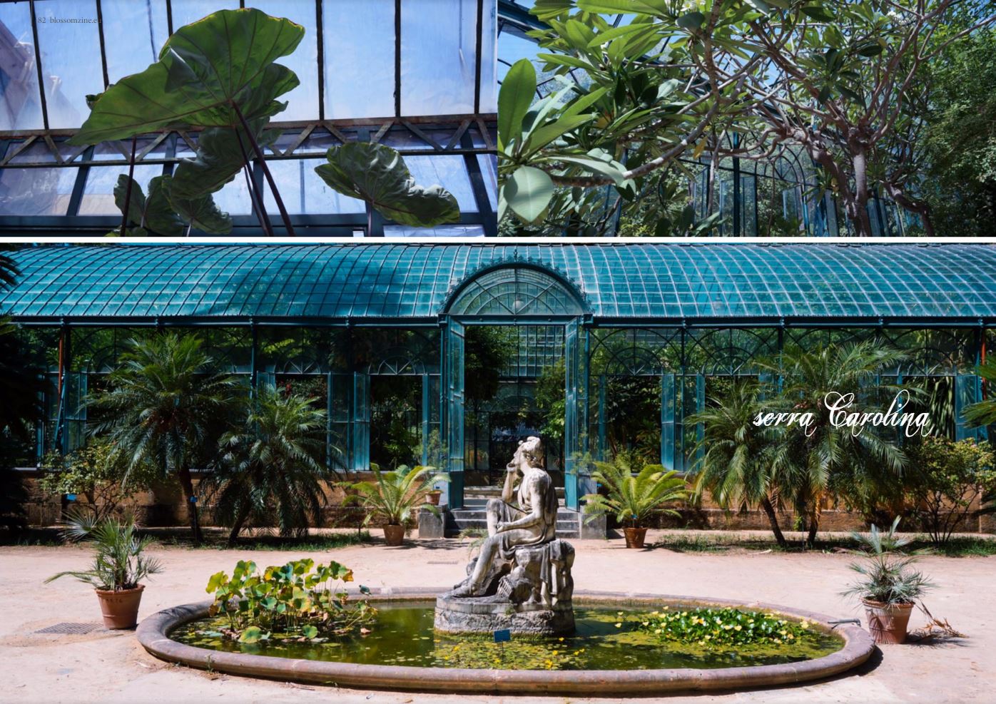 Blossom zine e la sicilia 8