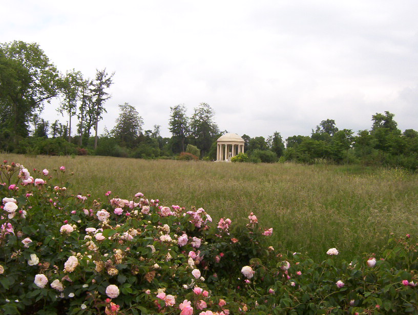 le petit trianon blossom zine (3)
