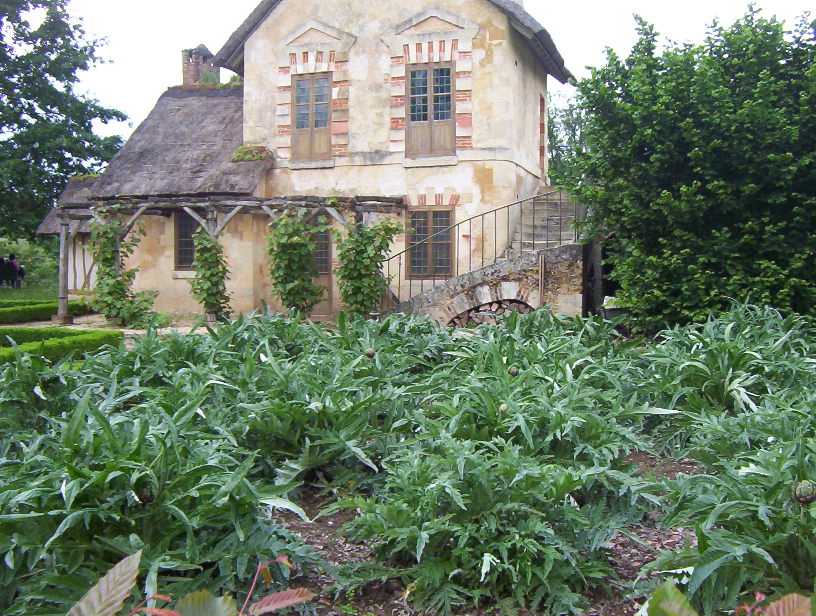 le petit trianon blossom zine (6)