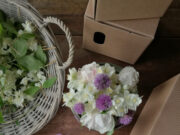 Tempo di cresime e comunioni. mitu krome