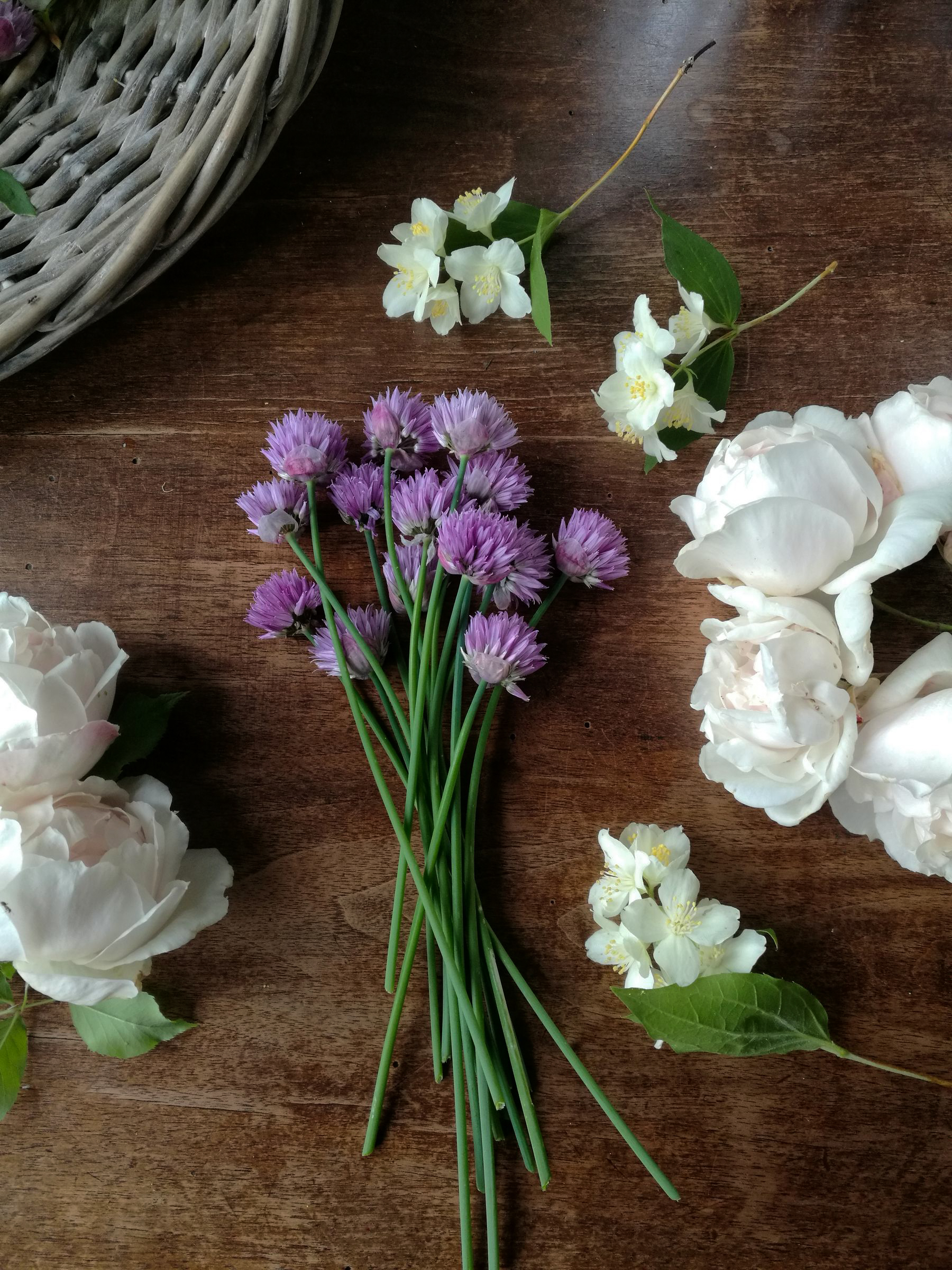 Philadelphus coronarius Rosa “Penny lane” Allium schoenoprasum