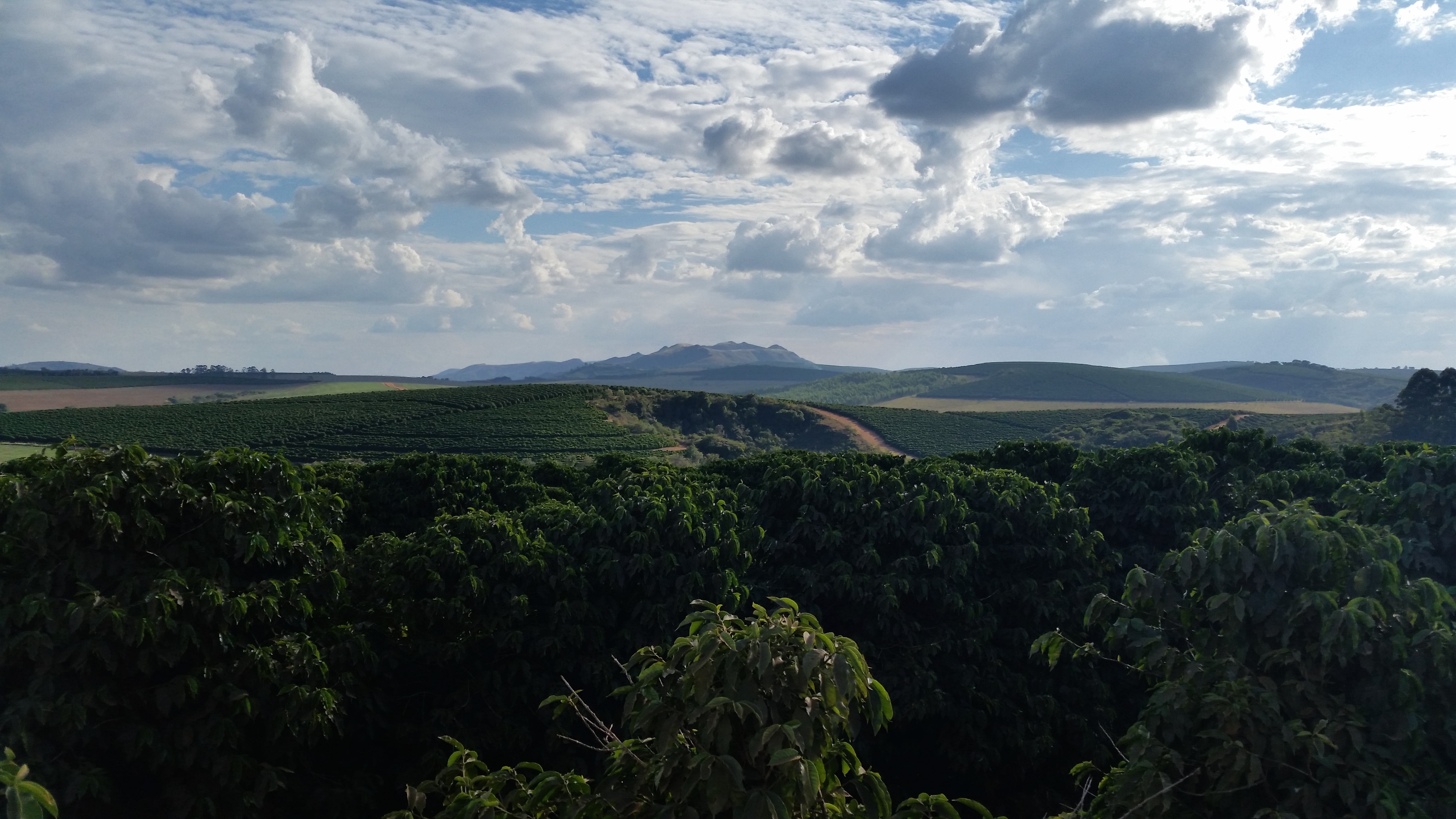 minas gerais 
