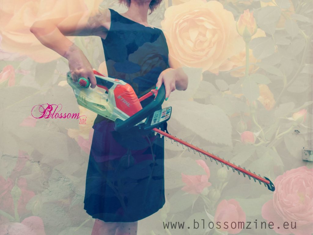 blossom zine tagliasiepi stihl