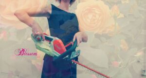blossom zine tagliasiepi stihl