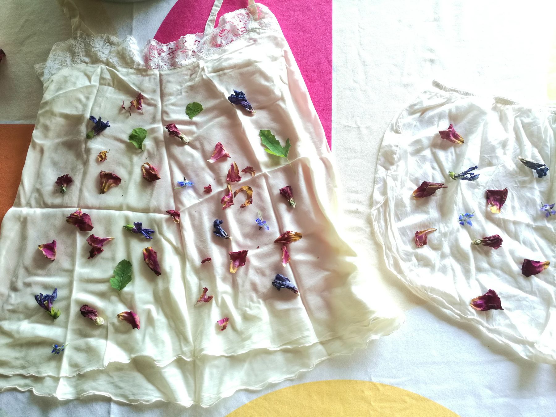 blossom zine tingere con i fiori