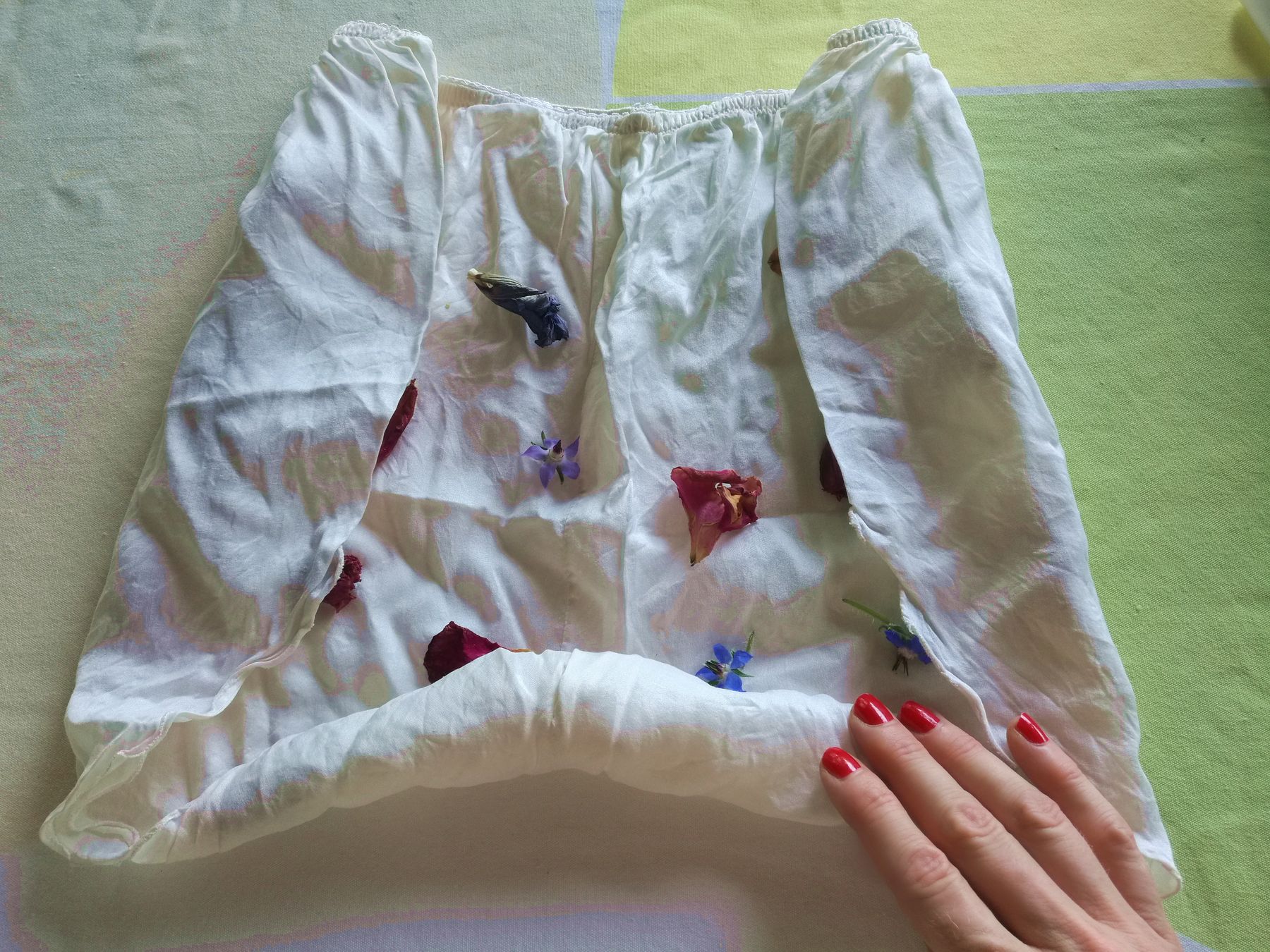 blossom zine tingere con i fiori
