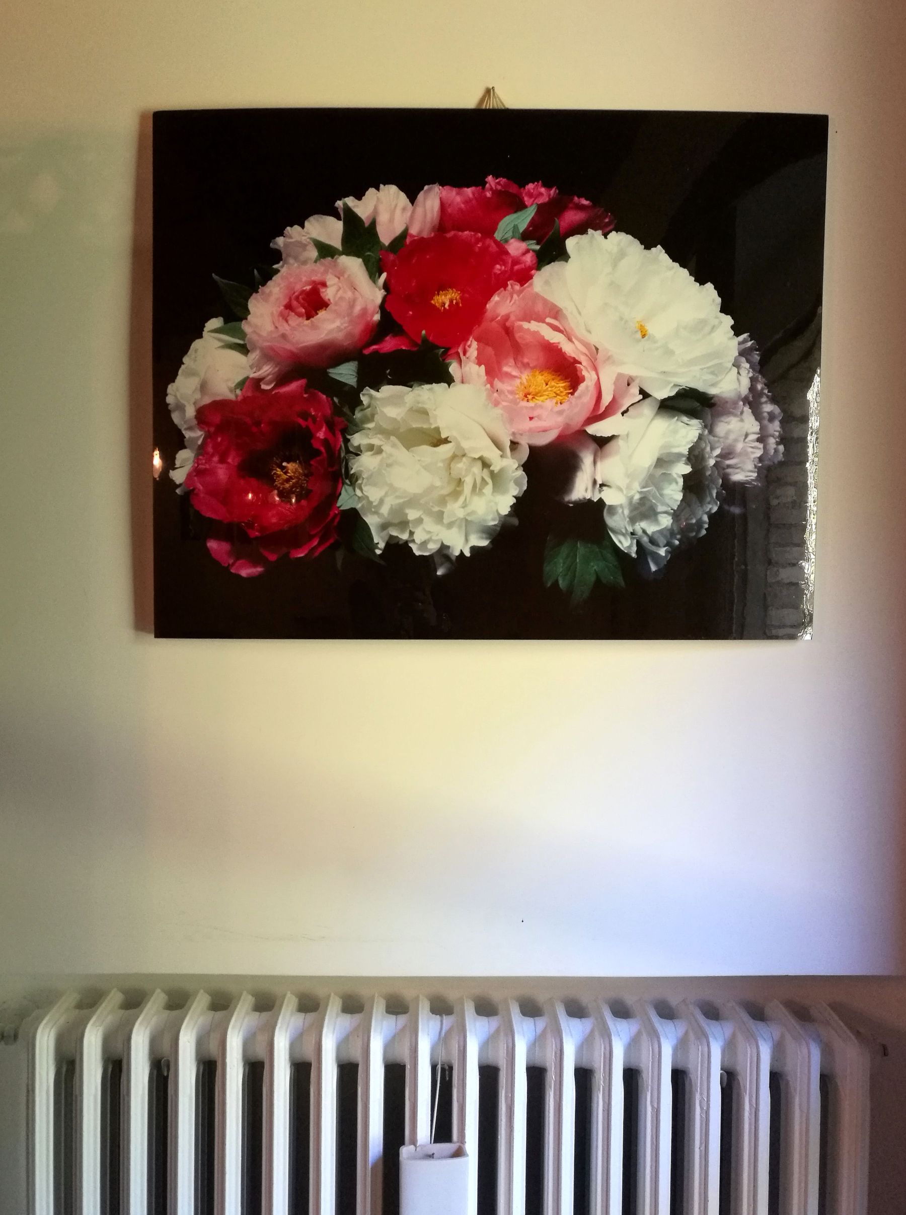 La Luccica Blossom zine viaggio Promo Tuscia (7)