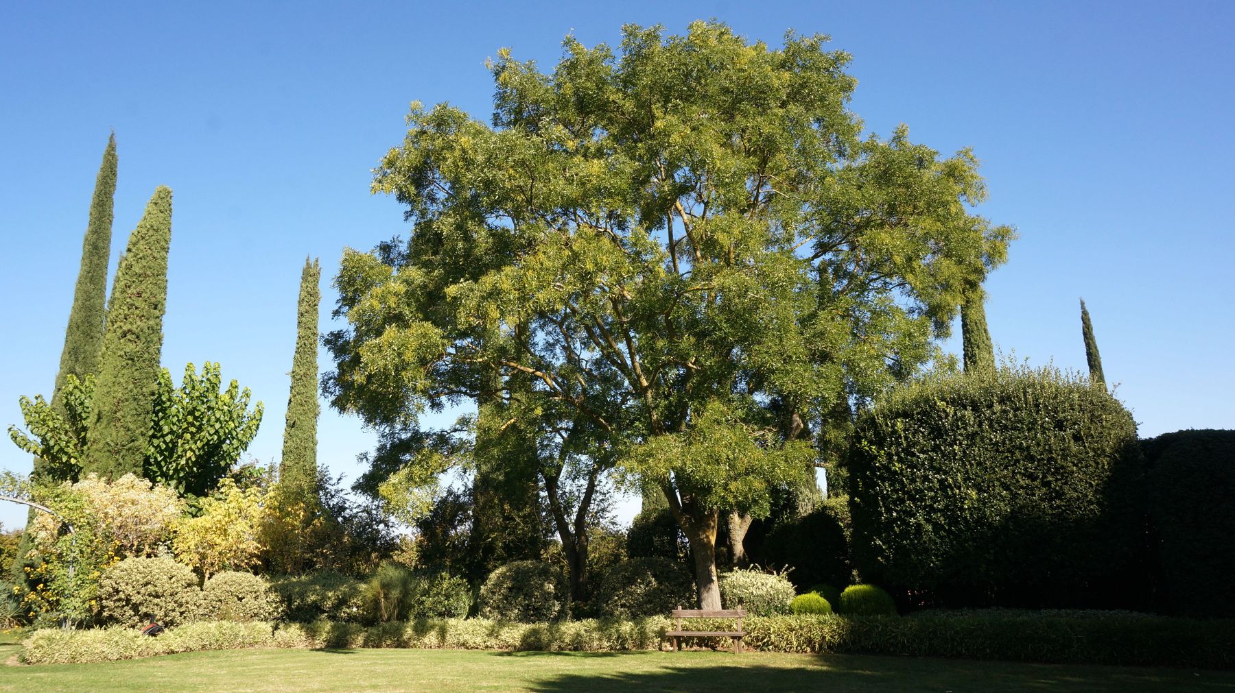 La Torricella Blossom zine viaggio Promo Tuscia (6)