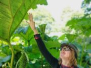 Consigli per garden designer, fioristi e vivaisti + erbario carino