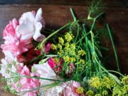 Mollare tutto per vivere nella natura